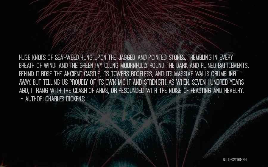 Revelry Quotes By Charles Dickens