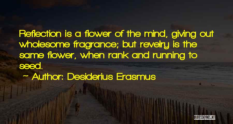 Revelry Quotes By Desiderius Erasmus