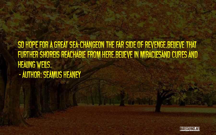 Revenge From Revenge Quotes By Seamus Heaney