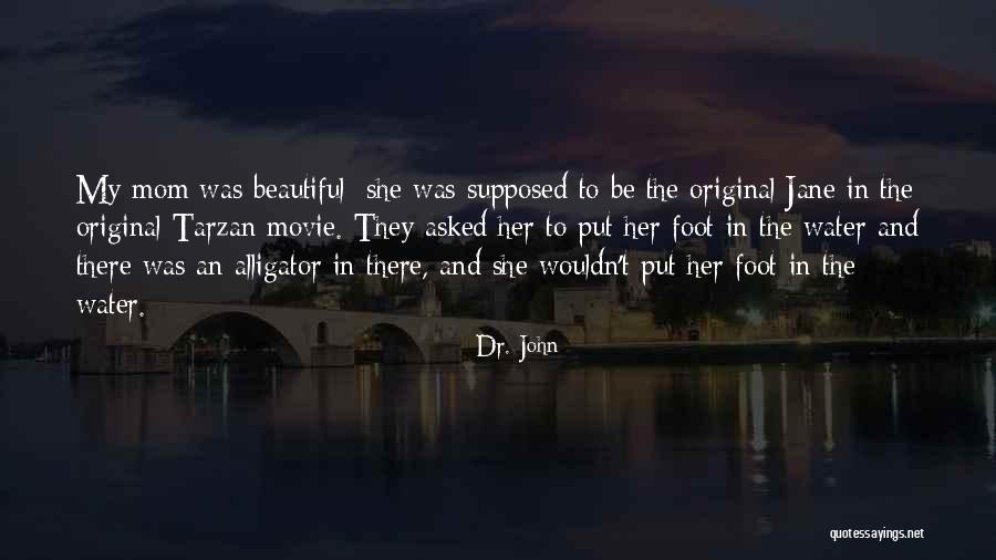 Revenge Of The Nerd Quotes By Dr. John Revenge Of The Nerd Quotes By Dr. John