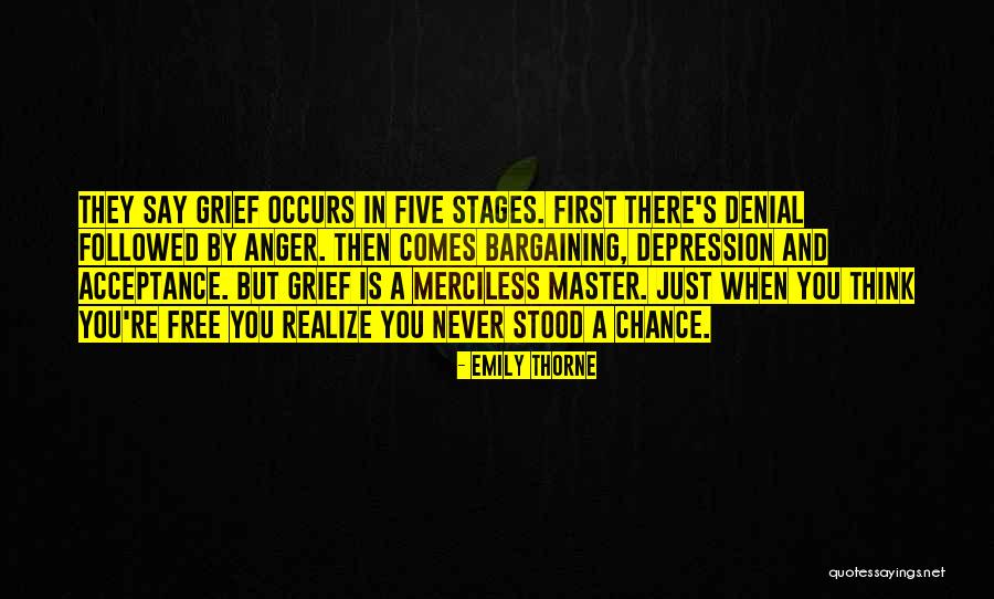 Revenge Series Quotes By Emily Thorne