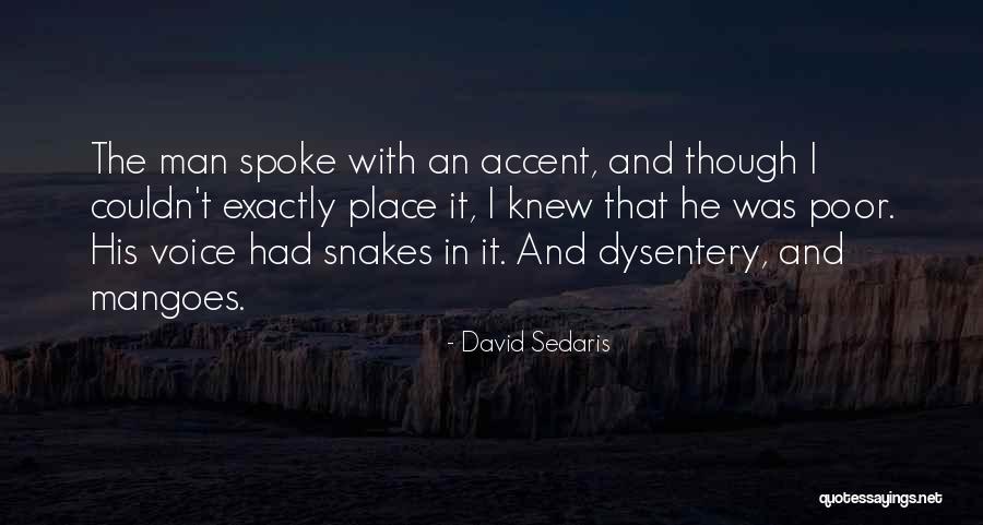 Revenge Storm Quotes By David Sedaris Revenge Storm Quotes By David Sedaris