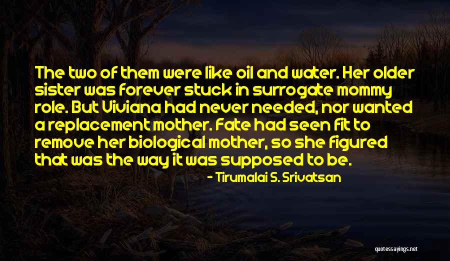 Revenge Storm Quotes By Tirumalai S. Srivatsan Revenge Storm Quotes By Tirumalai S. Srivatsan