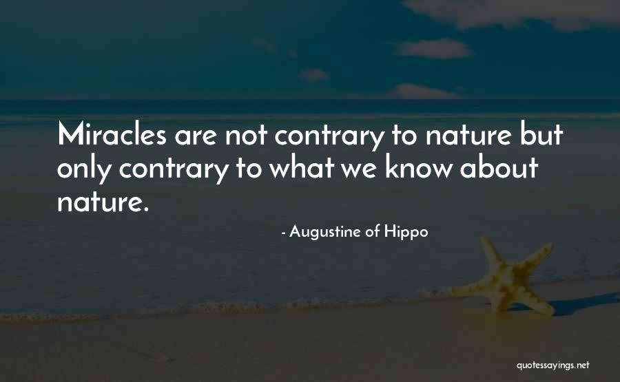 Revengem Juliette Ferrars Quotes By Augustine Of Hippo Revengem Juliette Ferrars Quotes By Augustine Of Hippo