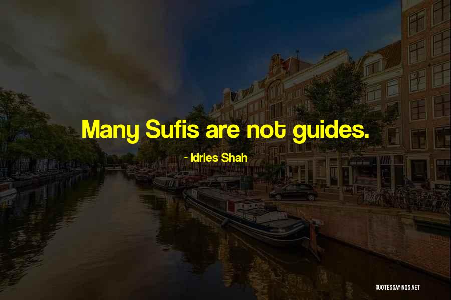 Revenido Quotes By Idries Shah Revenido Quotes By Idries Shah