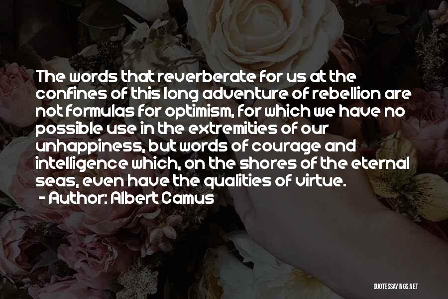 Reverberate Quotes By Albert Camus