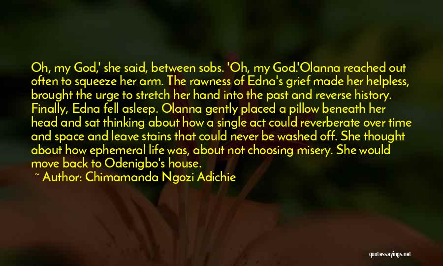 Reverberate Quotes By Chimamanda Ngozi Adichie