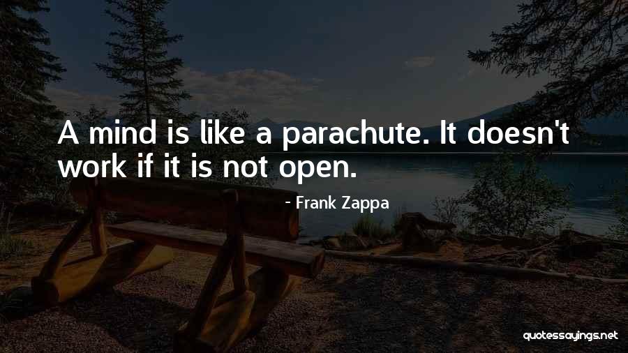 Reverberates Synonym Quotes By Frank Zappa