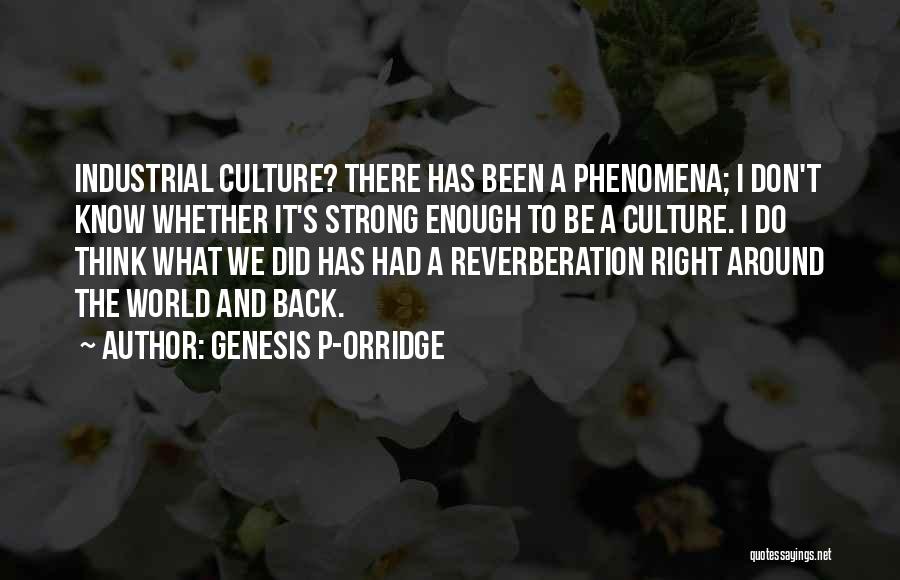 Reverberation Quotes By Genesis P-Orridge