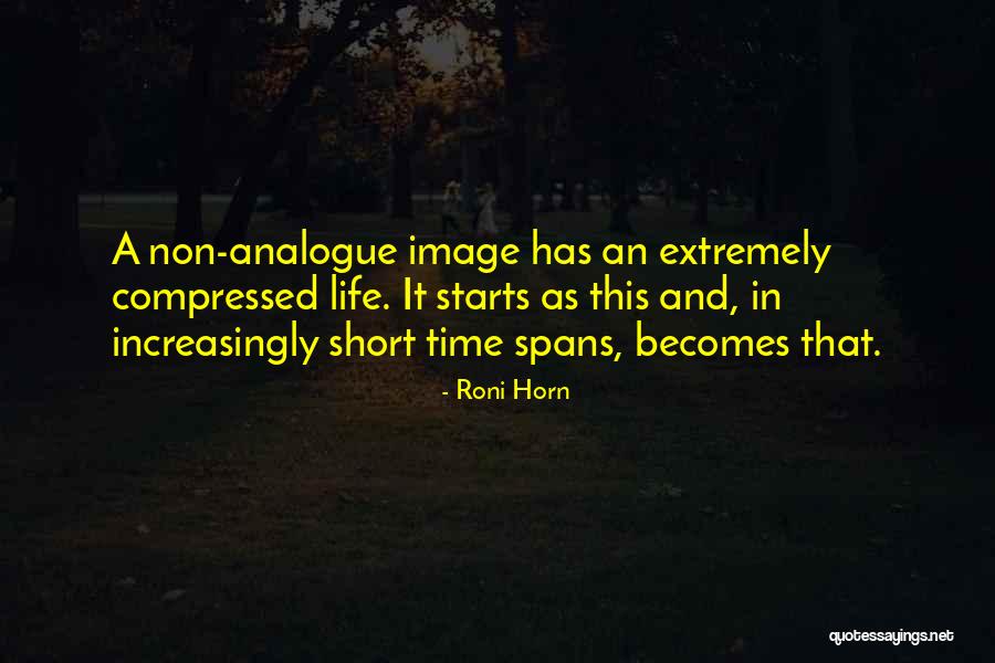 Revering Nature Quotes By Roni Horn Revering Nature Quotes By Roni Horn