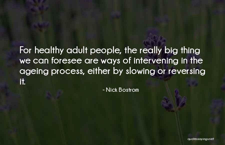 Reversing Course Quotes By Nick Bostrom Reversing Course Quotes By Nick Bostrom