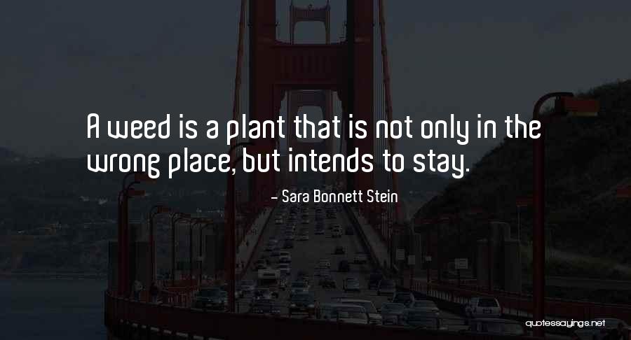 Revetments Quotes By Sara Bonnett Stein Revetments Quotes By Sara Bonnett Stein