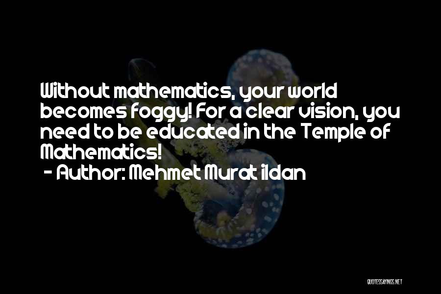 Review Of Literature Quotes By Mehmet Murat Ildan