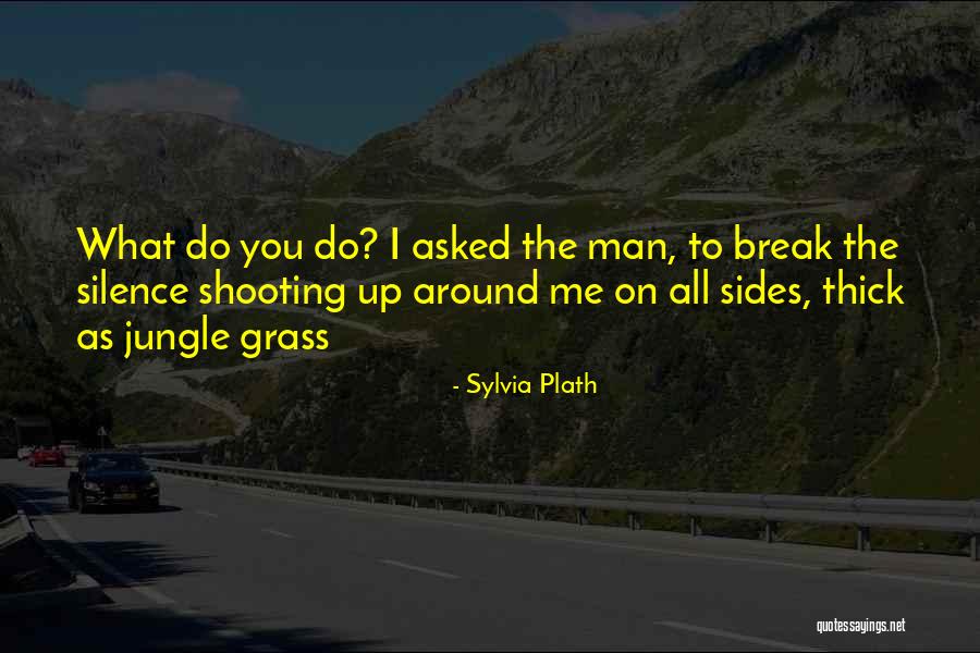 Reviewed In Spanish Quotes By Sylvia Plath Reviewed In Spanish Quotes By Sylvia Plath