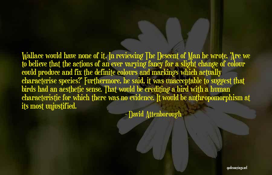Reviewing Quotes By David Attenborough Reviewing Quotes By David Attenborough