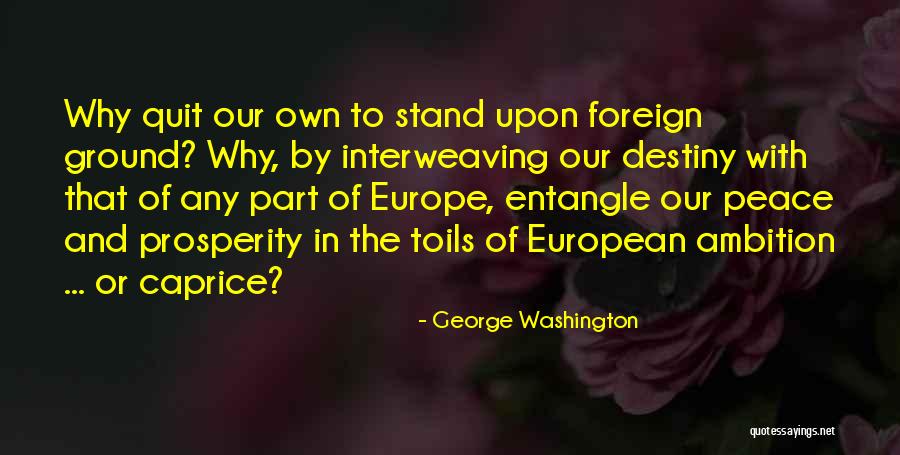 Revine Technologies Quotes By George Washington Revine Technologies Quotes By George Washington