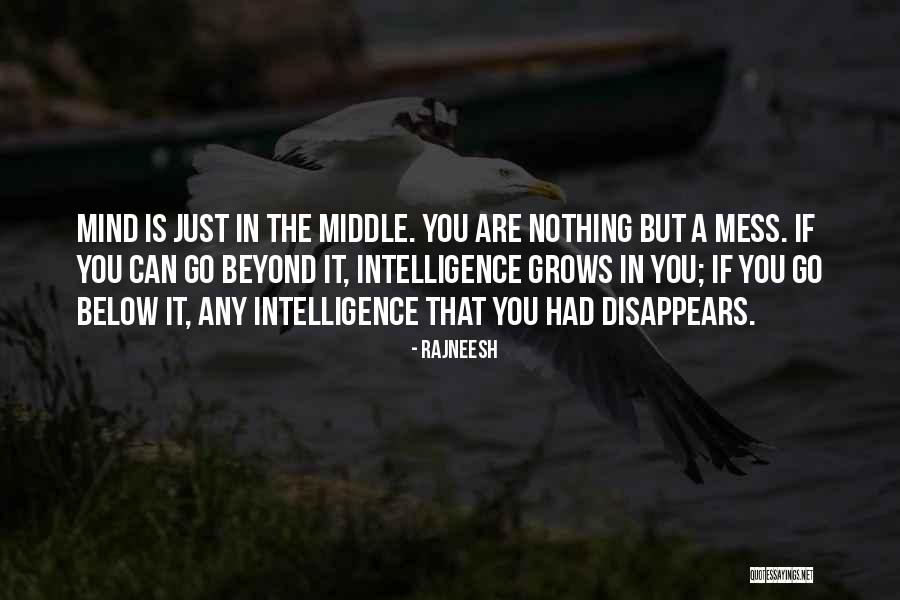 Revisings Quotes By Rajneesh Revisings Quotes By Rajneesh