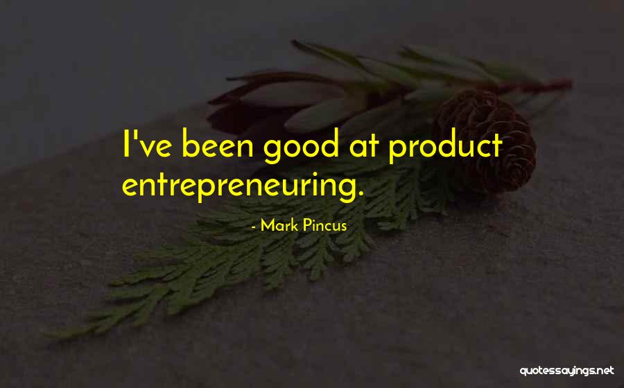 Revisit Place Quotes By Mark Pincus Revisit Place Quotes By Mark Pincus