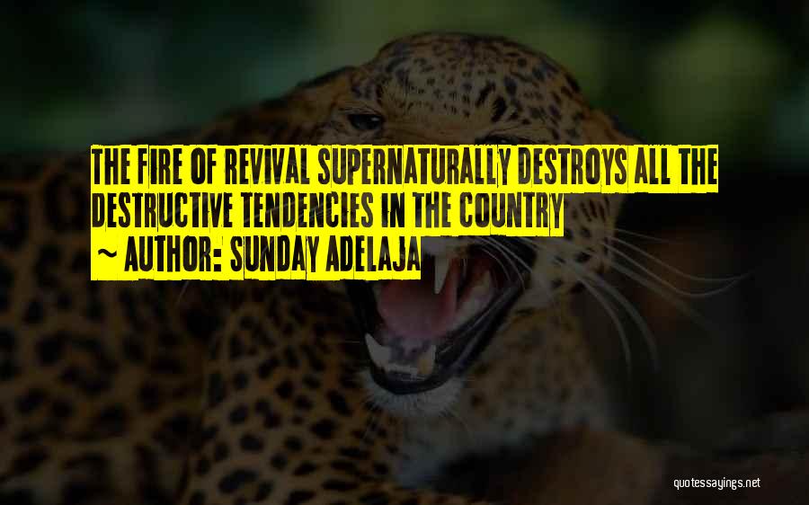 Revival Fire Quotes By Sunday Adelaja