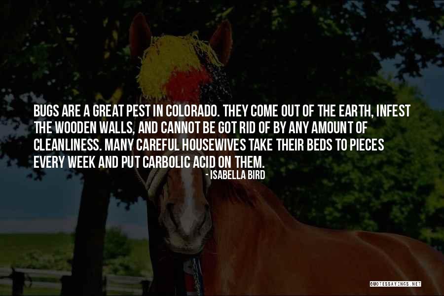 Revolucionarias Definicion Quotes By Isabella Bird Revolucionarias Definicion Quotes By Isabella Bird
