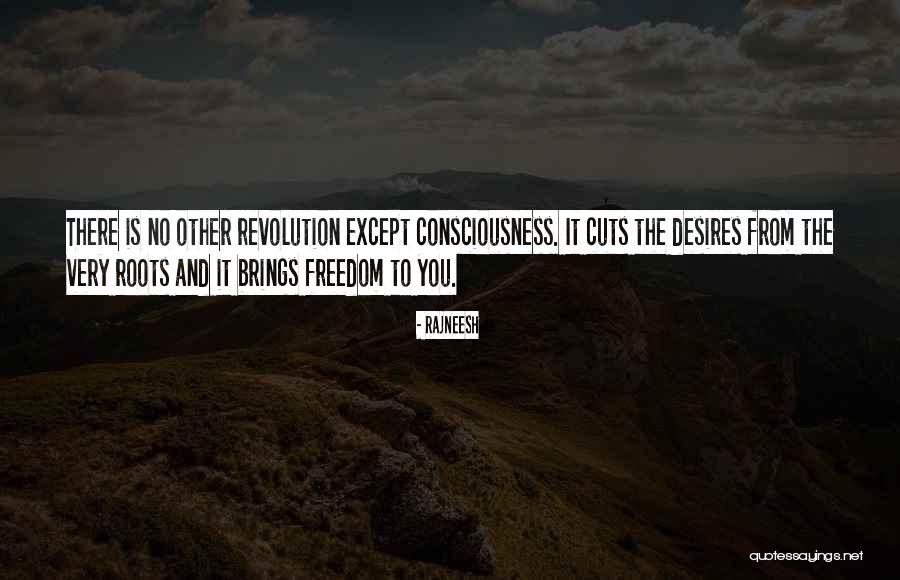 Revolution And Freedom Quotes By Rajneesh