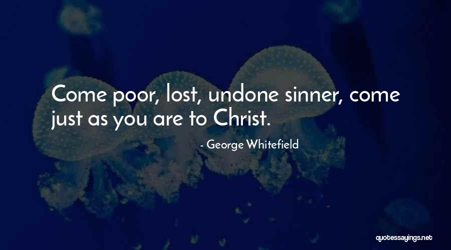 Revolution Is Not A Dinner Quotes By George Whitefield