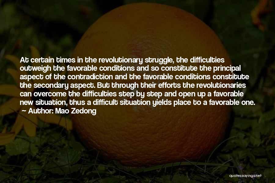 Revolutionaries Quotes By Mao Zedong