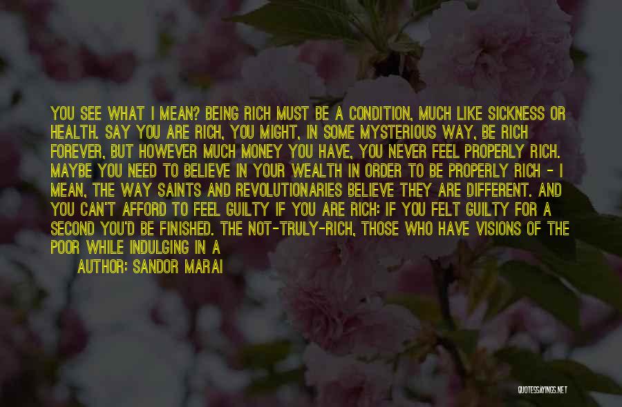 Revolutionaries Quotes By Sandor Marai