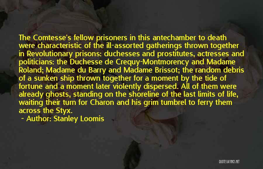 Revolutionary Politics Quotes By Stanley Loomis