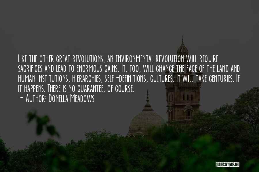 Revolutions And Change Quotes By Donella Meadows