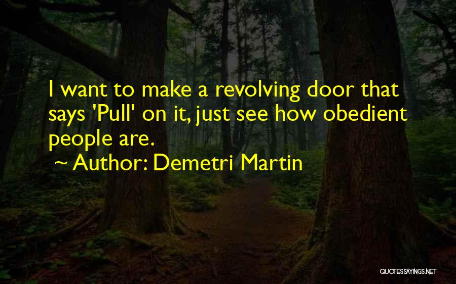 Revolving Doors Quotes By Demetri Martin