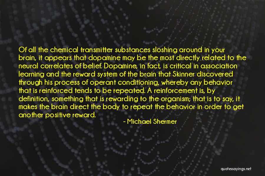 Reward System Quotes By Michael Shermer Reward System Quotes By Michael Shermer