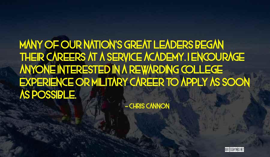 Rewarding Experience Quotes By Chris Cannon