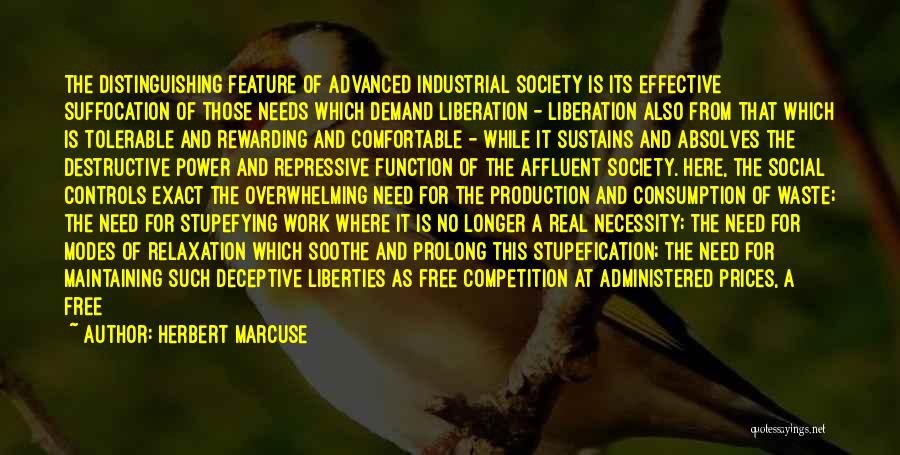 Rewarding Work Quotes By Herbert Marcuse