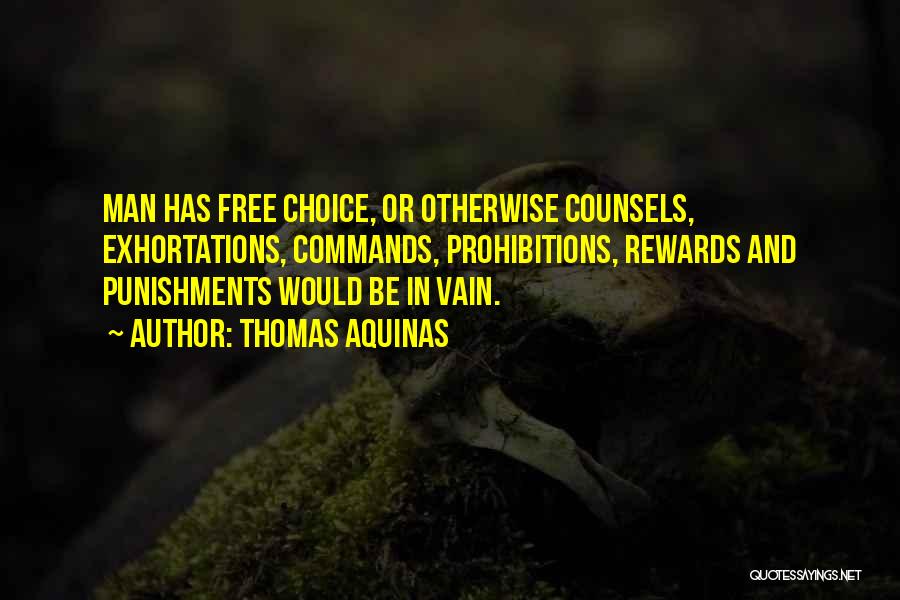 Rewards And Punishments Quotes By Thomas Aquinas
