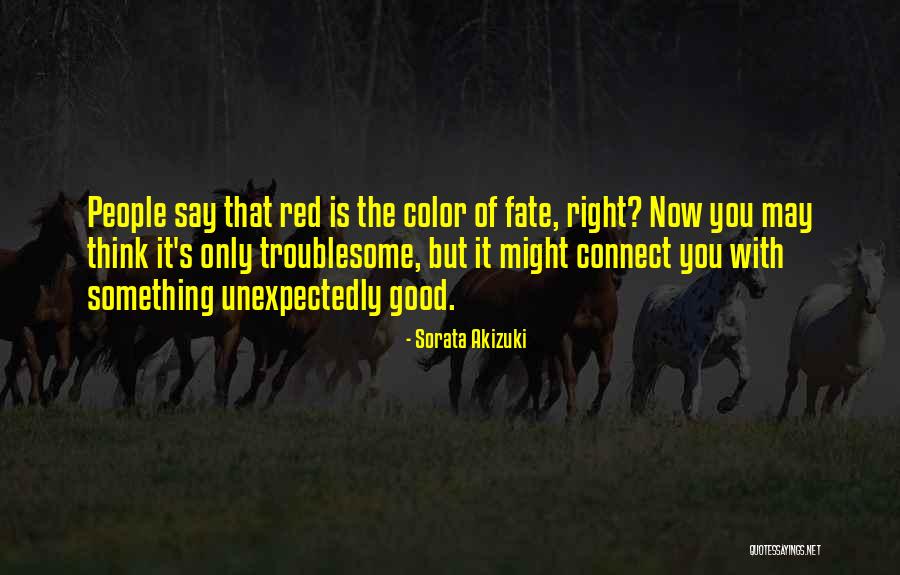 Reyad Sekh Quotes By Sorata Akizuki Reyad Sekh Quotes By Sorata Akizuki