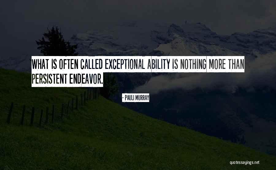 Reybier Hospitality Quotes By Pauli Murray