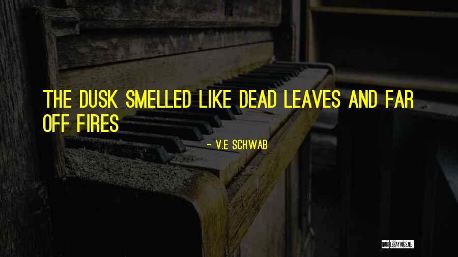 Reybier Hospitality Quotes By V.E Schwab