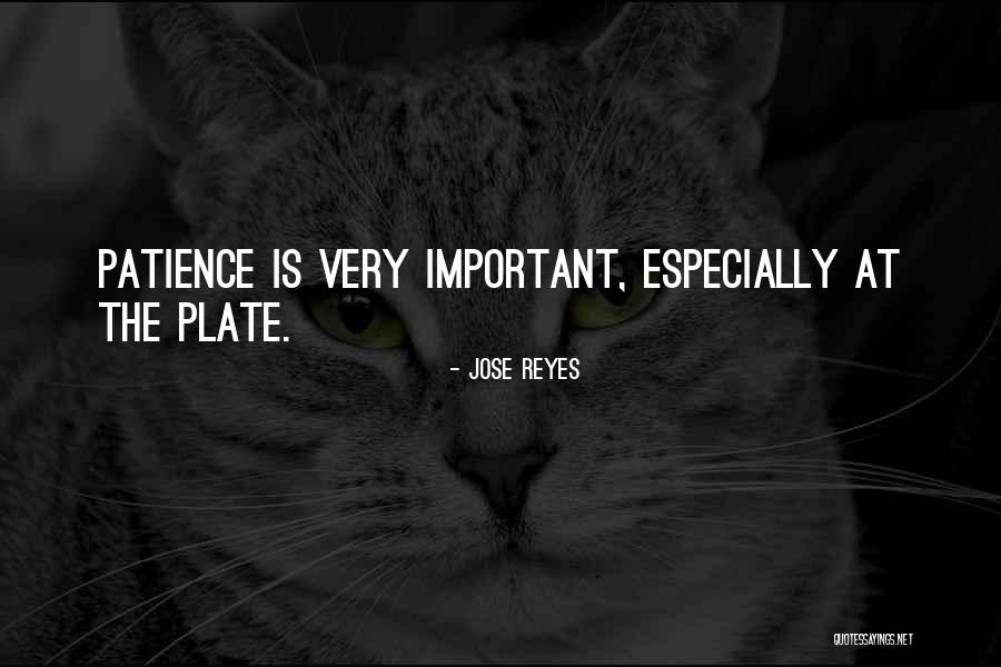Reyes Quotes By Jose Reyes Reyes Quotes By Jose Reyes