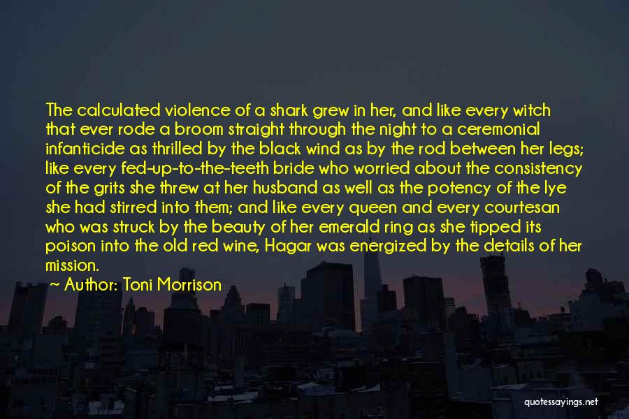Reyez Figures Quotes By Toni Morrison
