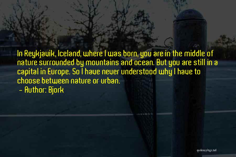 Reykjavik Quotes By Bjork