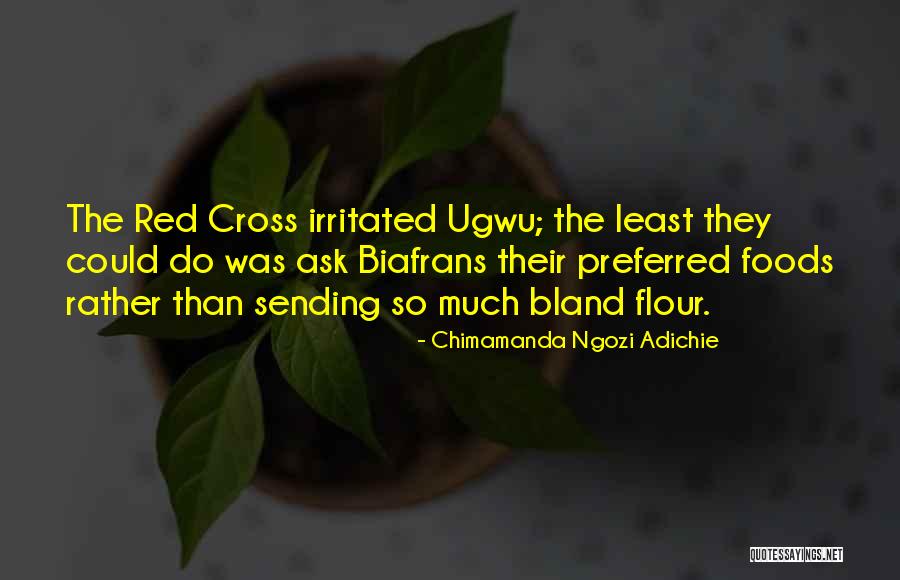 Reyna Elena Quotes By Chimamanda Ngozi Adichie Reyna Elena Quotes By Chimamanda Ngozi Adichie