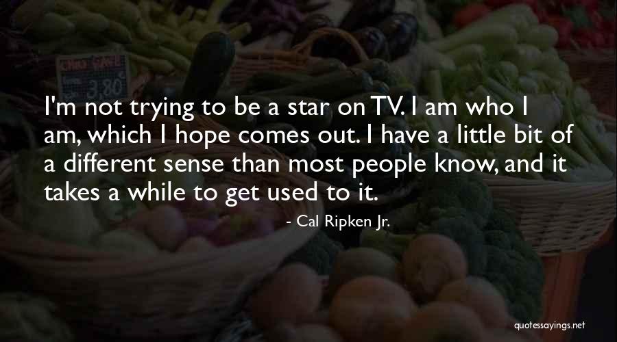 Reynalyn Torres Quotes By Cal Ripken Jr. Reynalyn Torres Quotes By Cal Ripken Jr.
