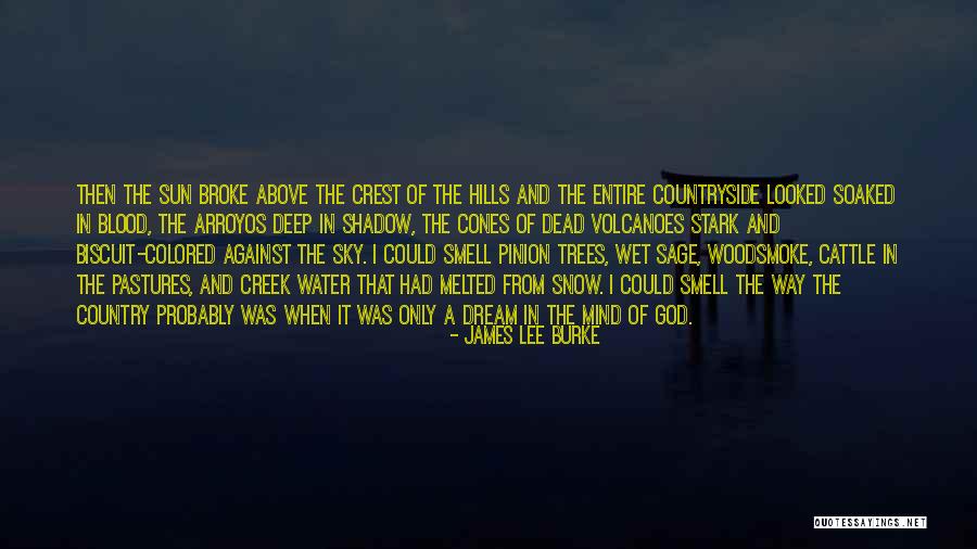 Reynosa Tamaulipas Quotes By James Lee Burke Reynosa Tamaulipas Quotes By James Lee Burke