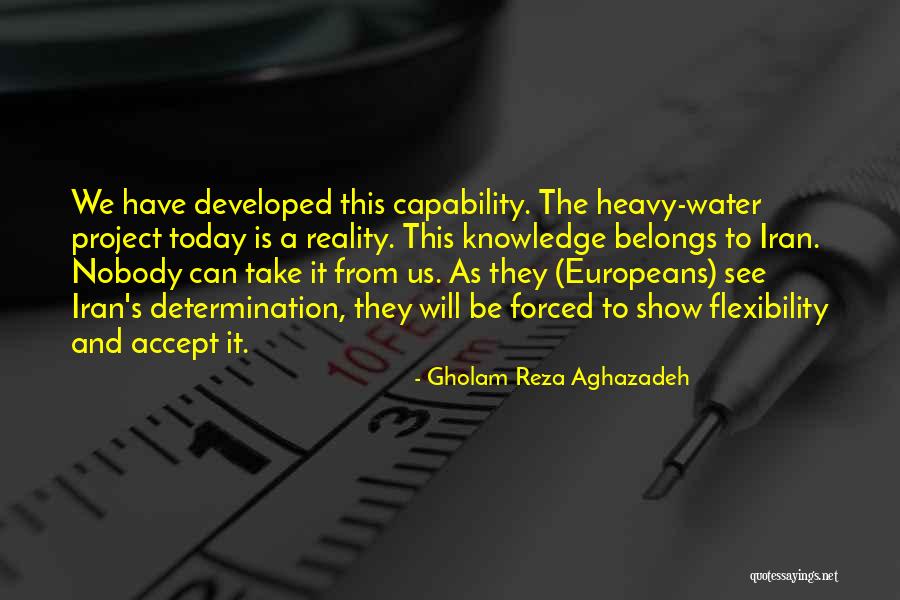 Reza Quotes By Gholam Reza Aghazadeh