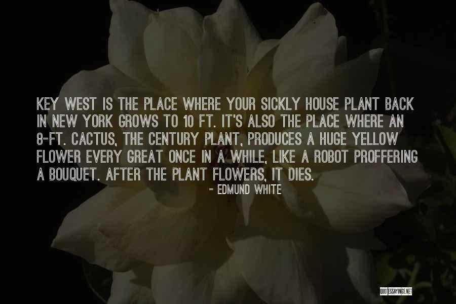 Rgtnb606gv2 Quotes By Edmund White Rgtnb606gv2 Quotes By Edmund White
