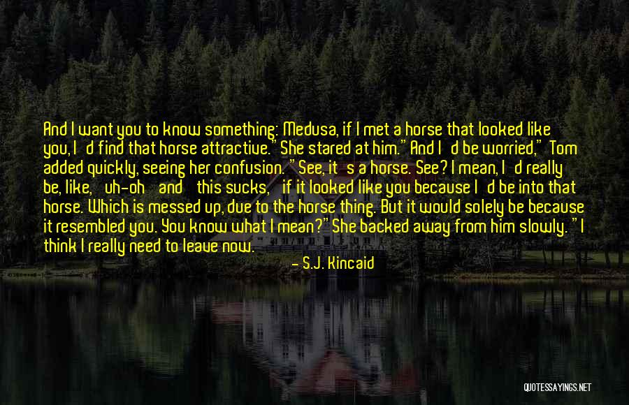 Rhashan Quotes By S.J. Kincaid Rhashan Quotes By S.J. Kincaid