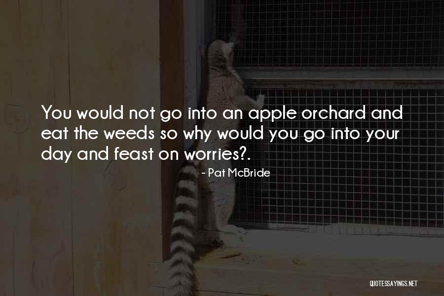 Rheaume Cpa Quotes By Pat McBride Rheaume Cpa Quotes By Pat McBride