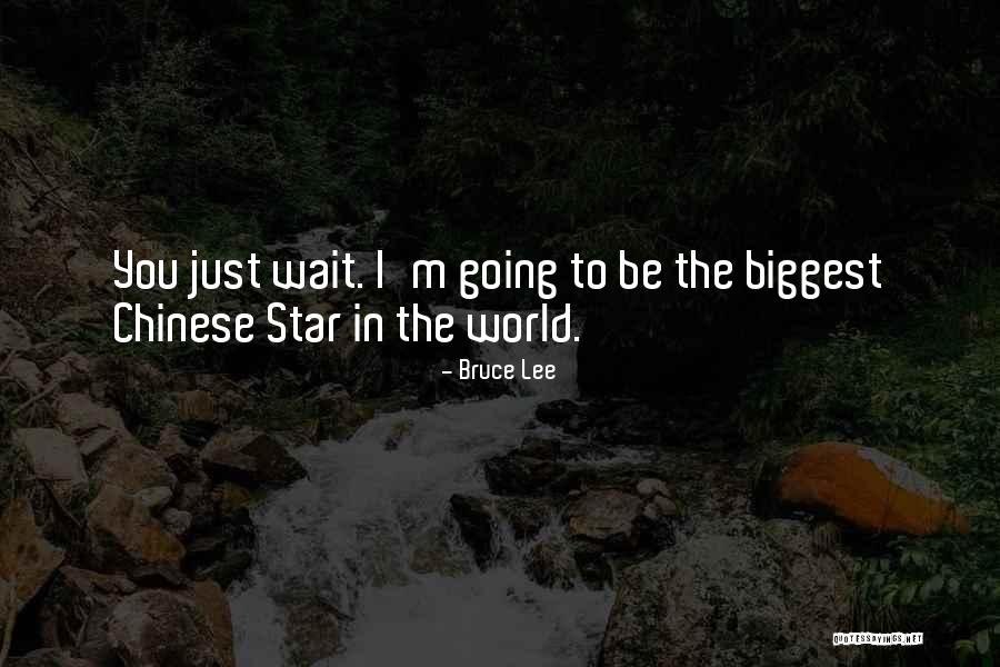 Rheinberger Josef Quotes By Bruce Lee Rheinberger Josef Quotes By Bruce Lee