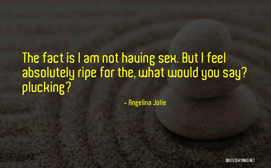 Rheinstein Castle Quotes By Angelina Jolie Rheinstein Castle Quotes By Angelina Jolie
